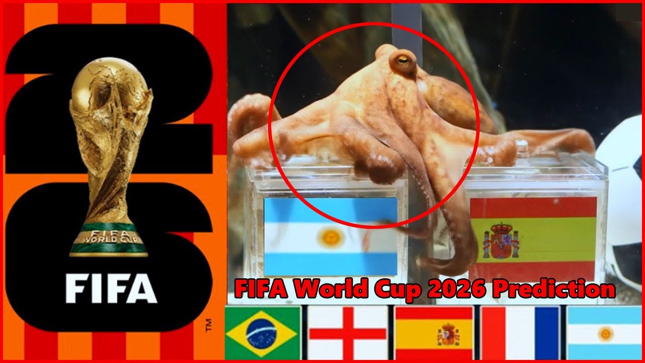 Who Wins 2026 Octopus Predicts the Shocking World Cup Winner!