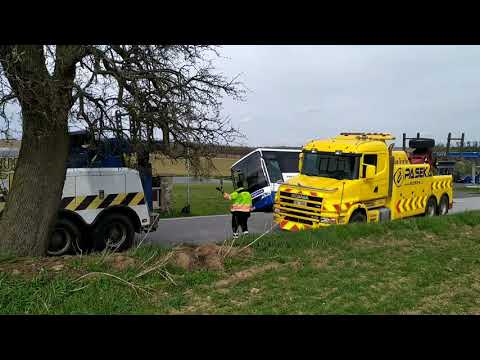 Video: Řešení Snů: Proč Autobus Sní