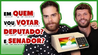 QUAL DEPUTADO vou votar? E SENADOR? Em quem LGBTs devem votar? - Põe Na Roda