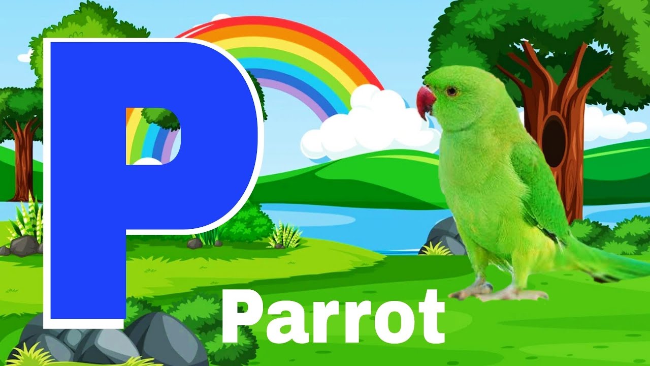 Phonics || The Letter P || Phonics Sounds for kids - YouTube