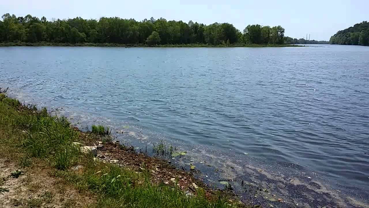 Cross Creeks National Wildlife Refuge YouTube