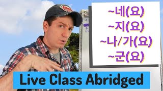 Verb Endings ~네(요), ~지(요), ~나(요), ~군(요) | Live Class Abridged