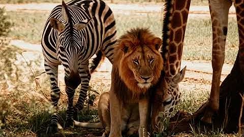 47d60500 646d 4c72 80d2 74dfebe64ca4