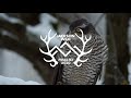 Jackson wild media awards finalist 2020 featheredfriends