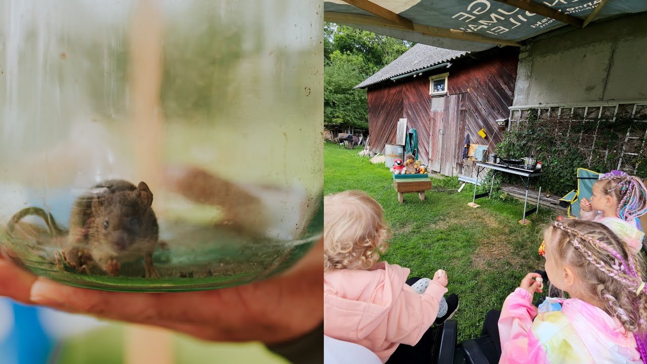 Püüdsime hiire kinni ja vanaisa tegi teatrit 🐁🎭 | Saaremaa 3. osa