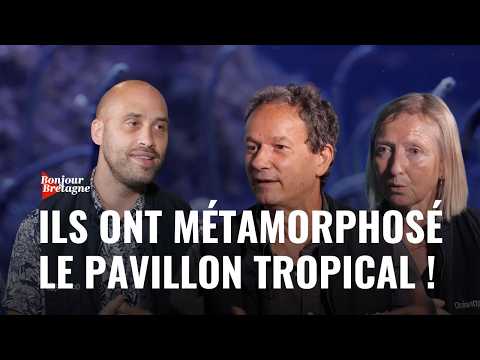 Hello Brittany | Océanopolis Brest: EXCLUSIVE Tour of the New Tropical Pavilion! 🦈🌴