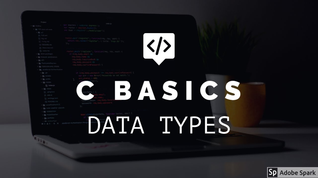 C BASICS - DATA TYPES - YouTube