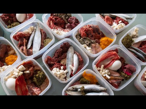 nrc balanced raw diet