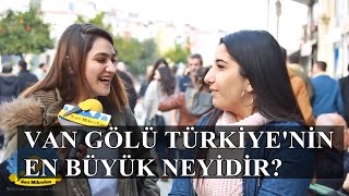 Van Gölü Türkiye'nin En Büyük Neyidir  SARI MİKROFON Resimi