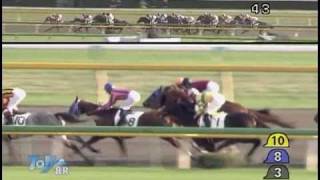 [レースリプレイ] 081129 5東京7 08R
