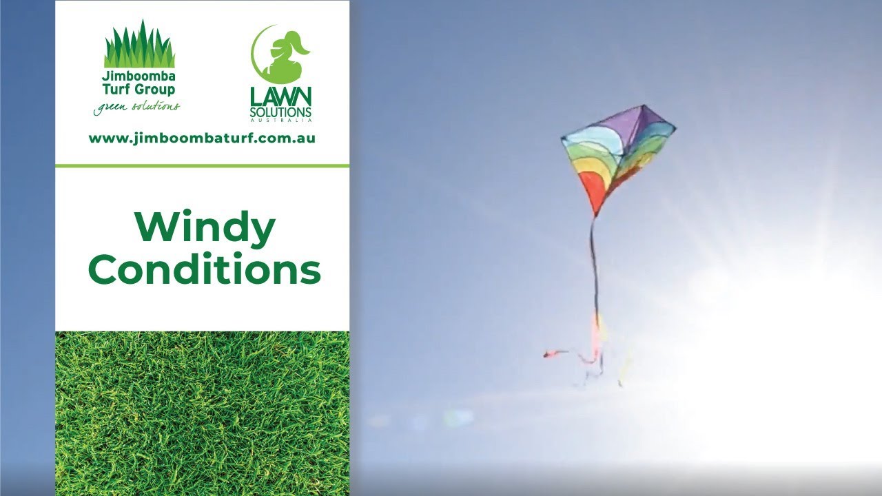 Windy Conditions | Jimboomba Turf