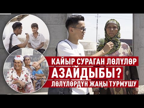 Кайыр сураган лөлүлөр азайдыбы? Лөлүлөрдүн азыркы жашоосу менен тааныштырабыз