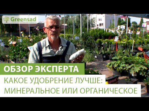 Какое удобрение лучше: минеральное или органическое