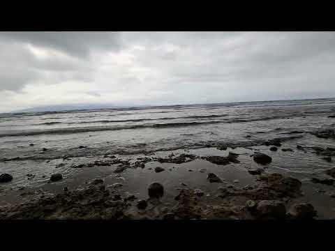 Nature reef amazing