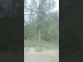 алтайский край #алтайскийкрай