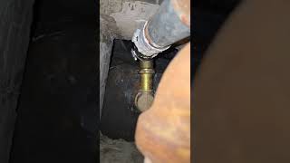 20251106 092327 View Up To Unit 404