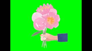 Give a Flower Animated Green Screen No Copyright