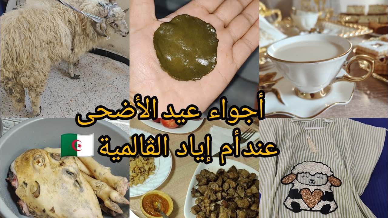 أجواء عيد الأضحى في بيتي لأول مرة 💞 كيف فوتناه انا وزوجي شاركتكم كل التفاصيل