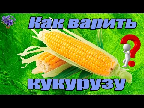 Как Варить Молодую Кукурузу