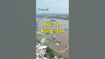 HƯỚNG TUYẾN cầu Cát Lái sẽ THAY ĐỔI: Vì sao Đồng Nai đưa ra đề xuất này? | CafeLand #shorts