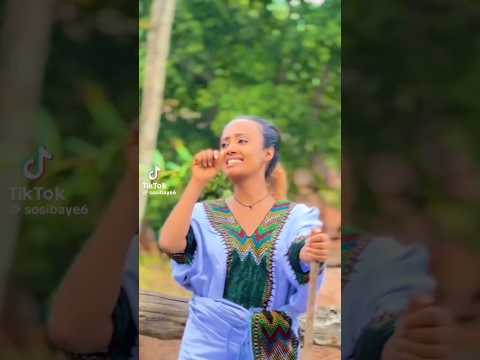 በድምድም ጓንዴ ድግመው አንዴ ሰብስክራይብ በማድረግ ቤተሰብ ይሁኑ Amahara Music Ethiopianmusic