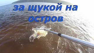 Рыбалка на острове. Щука и окунь на джиг.