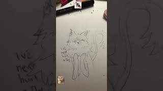 #cats #cat #warriorcats #lol #rabbit #books #animation #animals #art