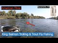 American River Salmon & Trout Fishing