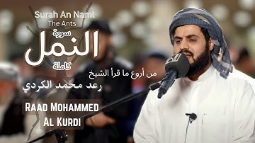 من أروع ما قرأ الشيخ رعد محمد الكردي سورة النمل كاملة