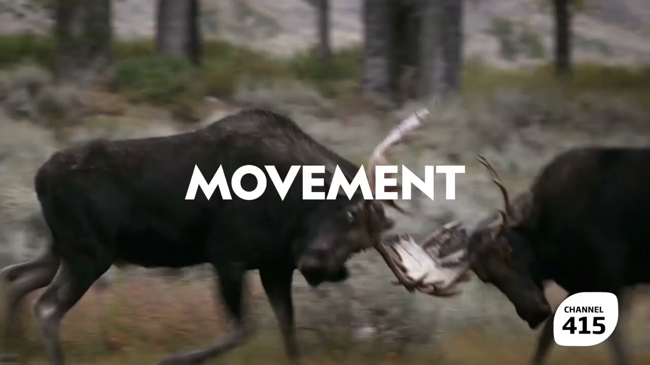 A rare and unusual journey