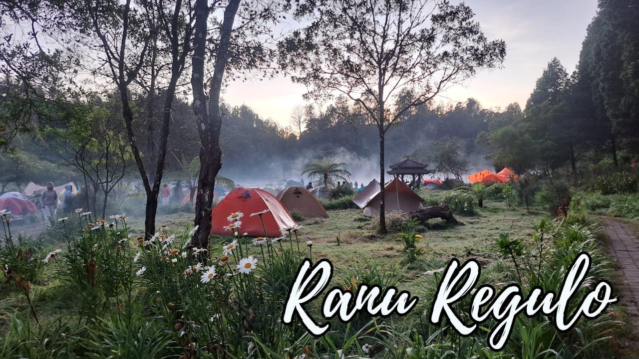 Camping di Ranu Regulo dan Trekking ke Spot Bulan di Bromo || Kalian Wajib Kesini !!