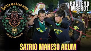 Banteng Ngamok‼️SATRIO MAHESO ARUM Full Kalapan Mberot,,