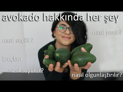 Avokado 101 | Nedir? Nasıl Seçilir? Nasıl Olgunlaştırılır? Nasıl Soyulur? Nasıl Yenir?