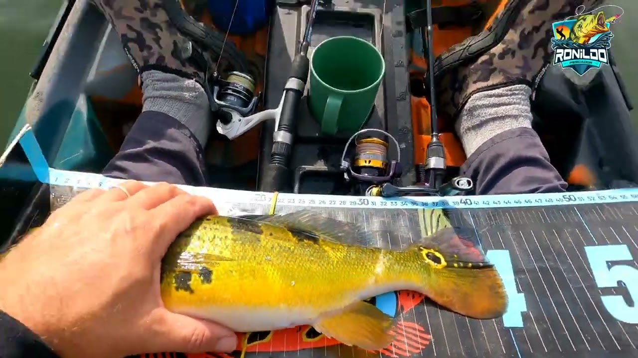 Fui Numa Pescaria Mais o @rgpescaesportiva no corumba IV  e pegamos Muitos Tucunarés 