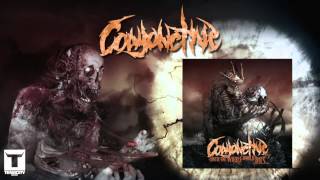 Conjonctive - Emily Rose