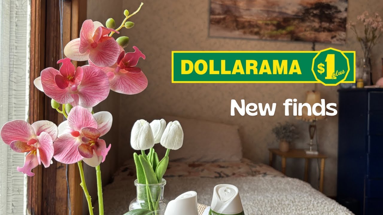 Budget Home Decor Haul | Dollarama Finds for a Cozy Home