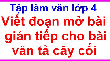 Viết Đoạn Mở Bài Gián Tiếp Cho Bài Văn Tả Cây Cối | Tập Làm Văn Lớp 4