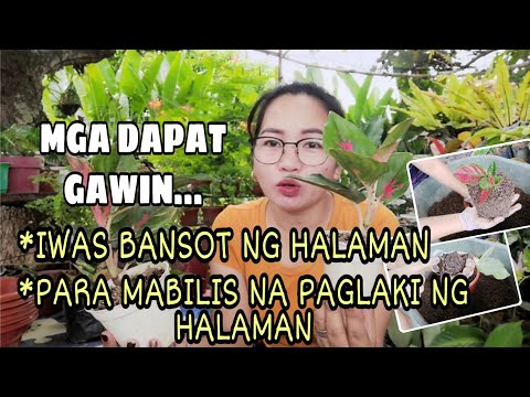 Video: Paano Mapupuksa ang Ingrown Pubic Hair (na may Mga Larawan)