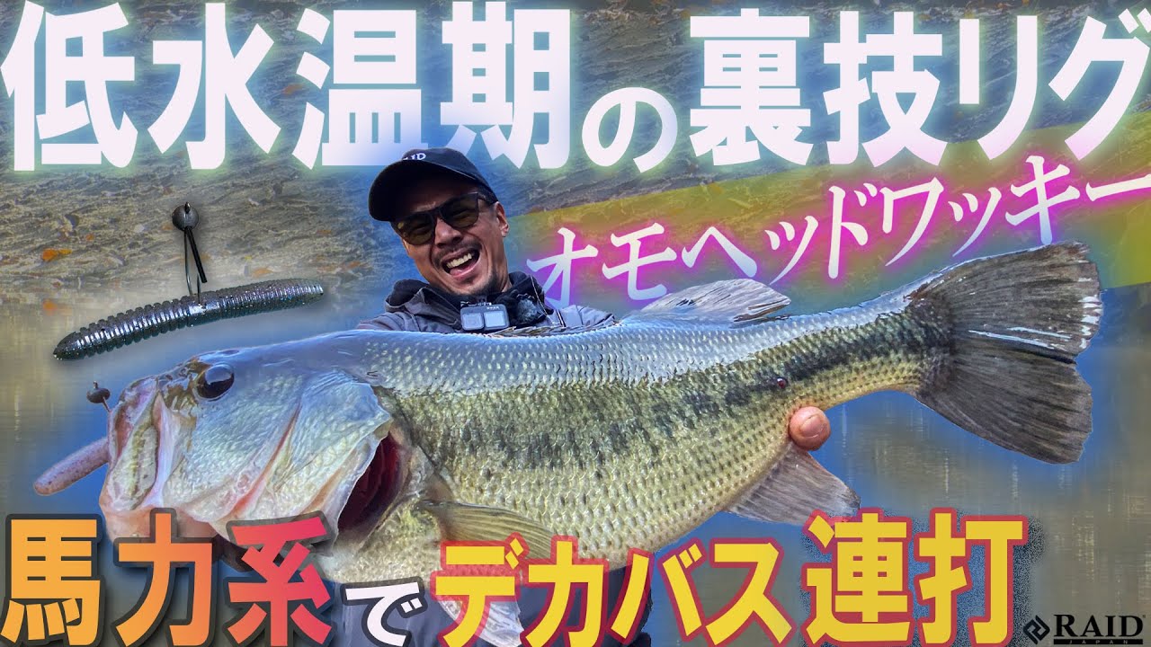 低水温期の裏技リグ／オモヘッドワッキーでデカバス連発‼【RAID JAPAN/ゆたかボーイ】