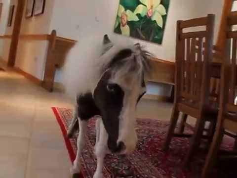 Ranker Video