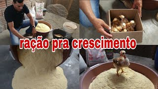 Compramos mais pintinhas! | Como preparar ração pra crescimento.