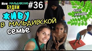 едим дерево на обед, день рождения по-Мальдивски | ММБ #36