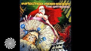 Infected Mushroom - Montoya (Remix)