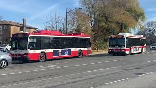 TTC Buses 1