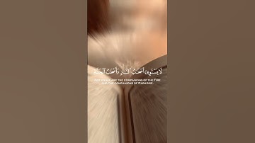 تلاوة جميلة تريح القلب . تلاوة تأخذك إلي عالم آخر . حالات واتساب دينية
