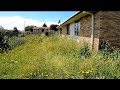 Garden Catastrophe Restoration | Watch us Transform this Jungle