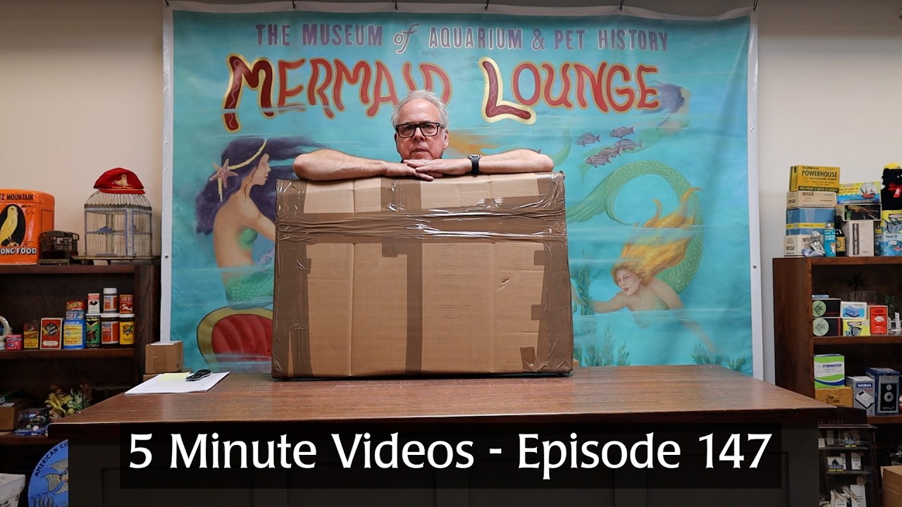 5 Minute Videos - Episode 147