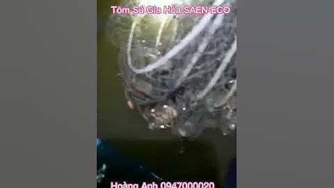 buổi tối Hoàng Anh đi đổ lú Tôm