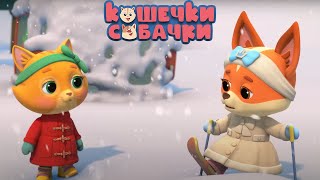 КОШЕЧКИ-СОБАЧКИ — Серия 87 — Снегопад