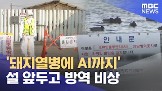 조류독감에 돼지열병까지‥ 설 앞두고 '고비' (2026.02.07/뉴스데스크/대전MBC) screenshot 1